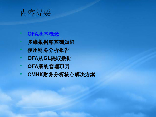 Oracle多维财务分析系统概述