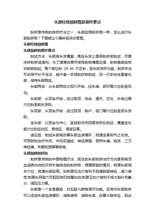 头部经络刮痧图及操作要点