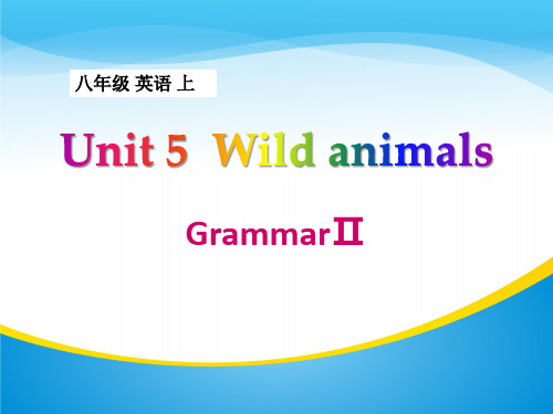 《Wild animals》GrammarPPT课件【精品推荐课件】