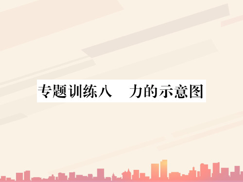 第六章  专题训练八 力的示意图—2020秋沪科版八年级物理上册课堂作业课件