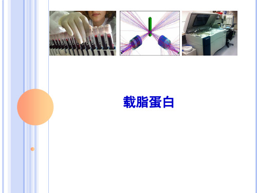 8.3载脂蛋白