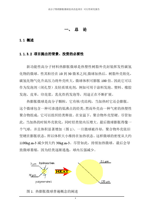 可膨胀发泡微球可研报告