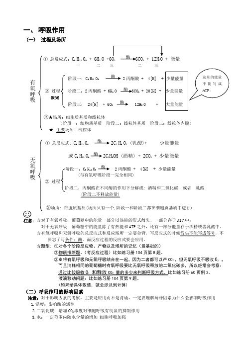 光合与呼吸知识点总结