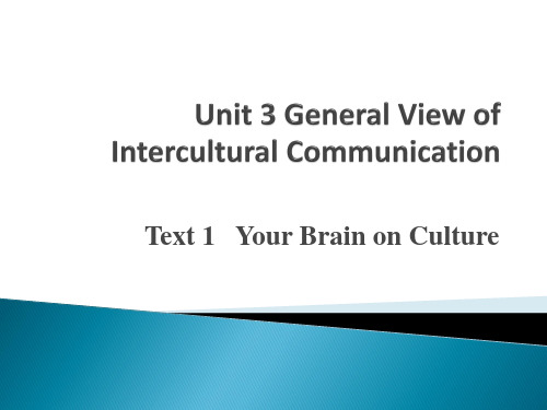 跨文化商务交际-unit 3General View of Intercultural Communication