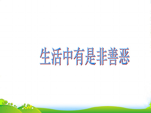 七年级政治下册 17课 看社会 辩是非课件 鲁教