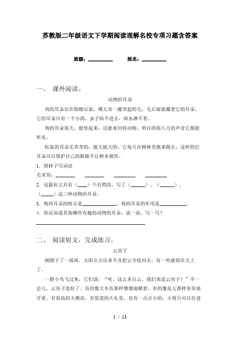 苏教版二年级语文下学期阅读理解名校专项习题含答案