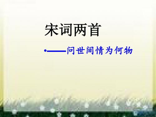 《生查子》《鹧鸪天》两课合 共19页PPT资料