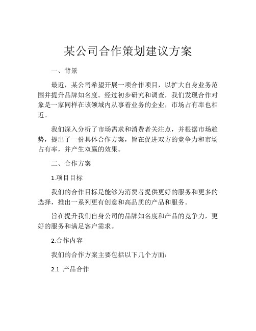 某公司合作策划建议方案