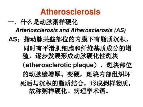 动脉粥样硬化-PTCA