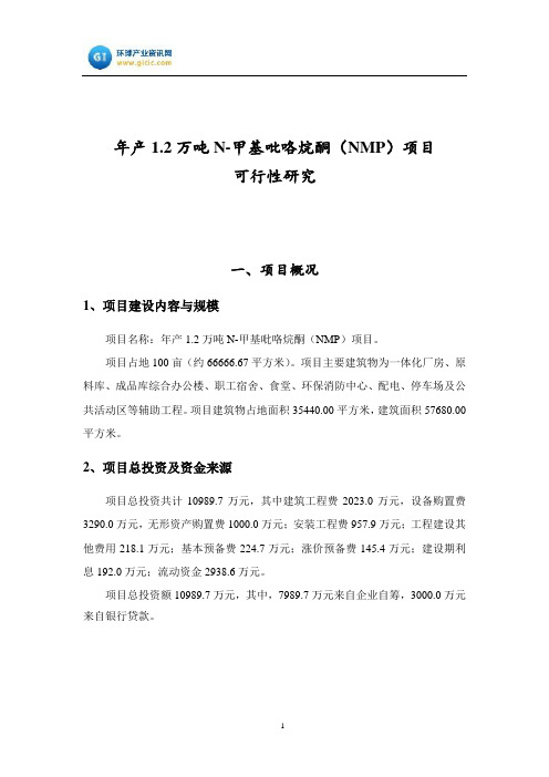 年产1.2万吨N-甲基吡咯烷酮(NMP)项目可行性研究