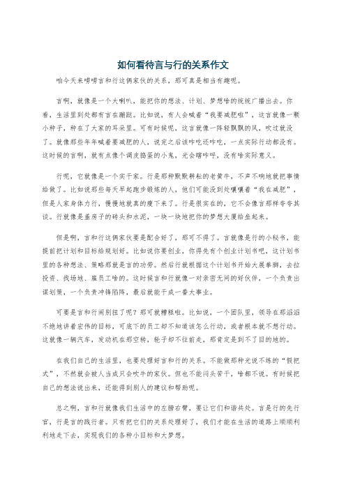 如何看待言与行的关系作文