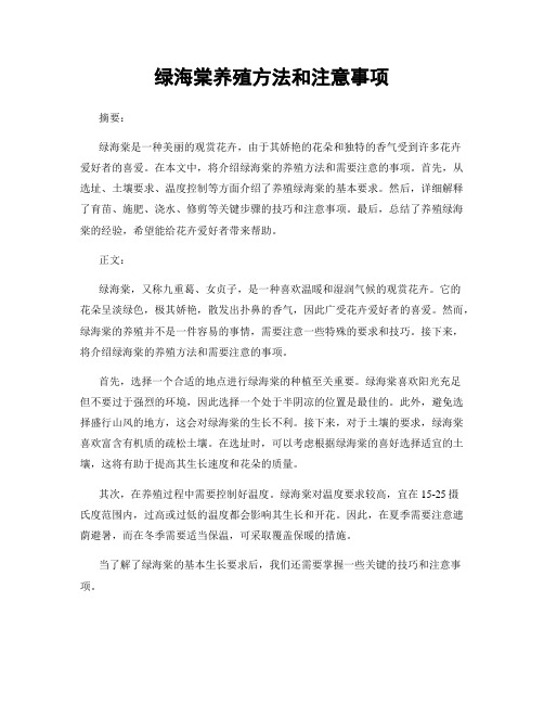 绿海棠养殖方法和注意事项