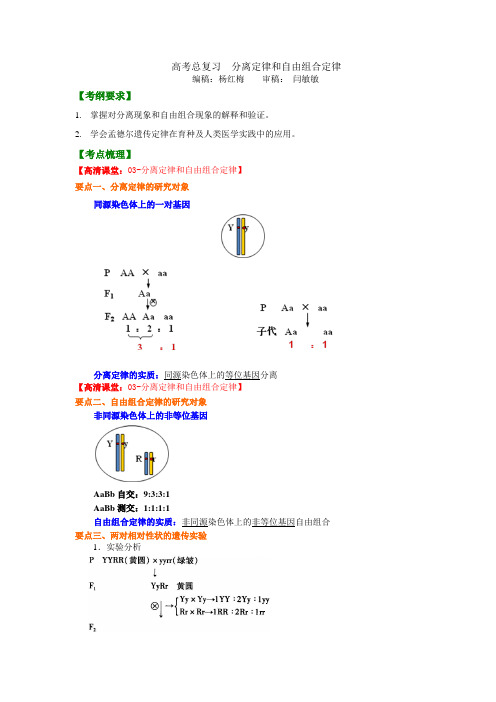 高中生物42总复习：分离定律和自由组合定律-知识讲解_分离定律和自由组合定律