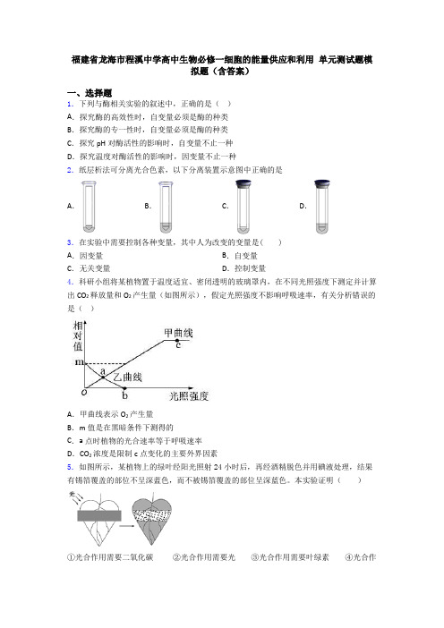 福建省龙海市程溪中学高中生物必修一细胞的能量供应和利用 单元测试题模拟题(含答案)