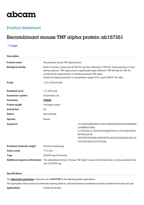 重组小鼠TNF alpha蛋白说明书