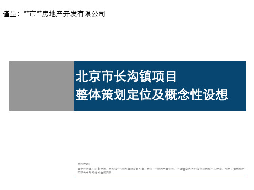 北京市长沟镇项目整体策划定位及概念性设想