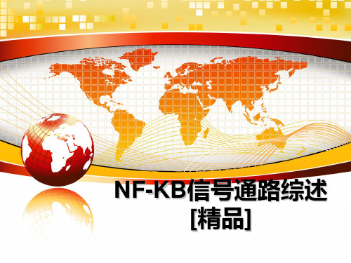 最新NF-KB信号通路综述[精品]课件PPT