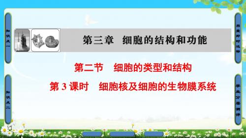 2018年苏教版生物必修117-18版 第3章 第2节 第3课时 细胞核及细胞的生物膜系统