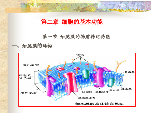 细胞的基本功能-人体生理学