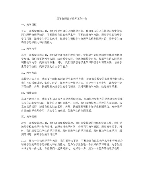 指导物理青年教师工作计划