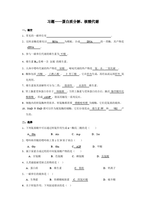 8核酸代谢参考答案