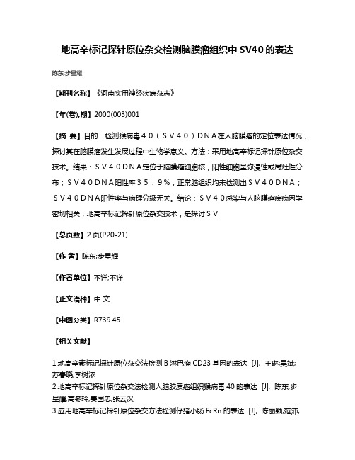 地高辛标记探针原位杂交检测脑膜瘤组织中SV40的表达