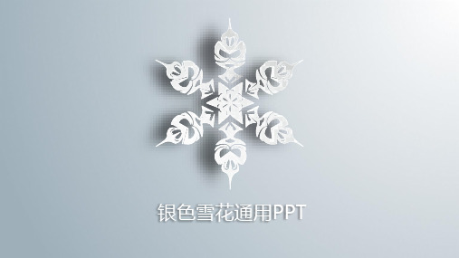 银色雪花PPT模板