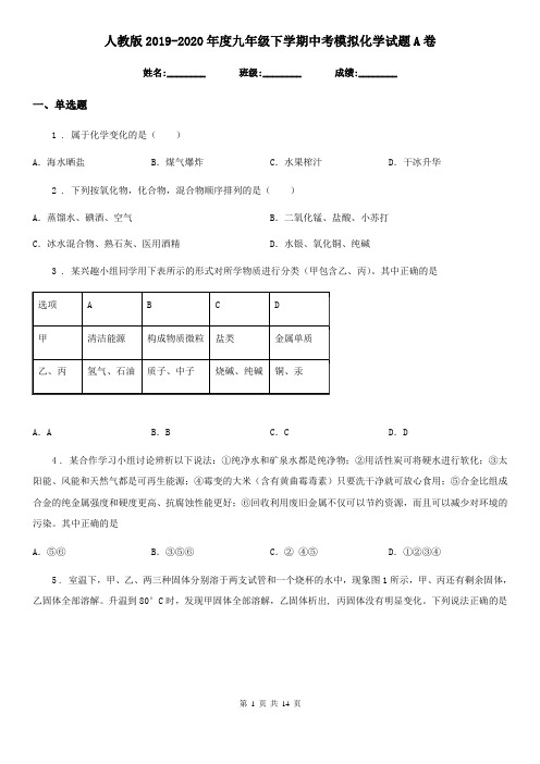 人教版2019-2020年度九年级下学期中考模拟化学试题A卷(练习)