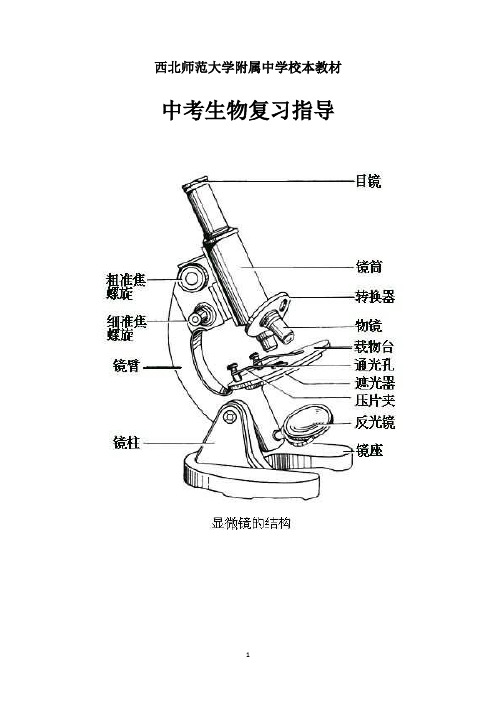 人教版-2022年中考生物复习指导——知识点汇总