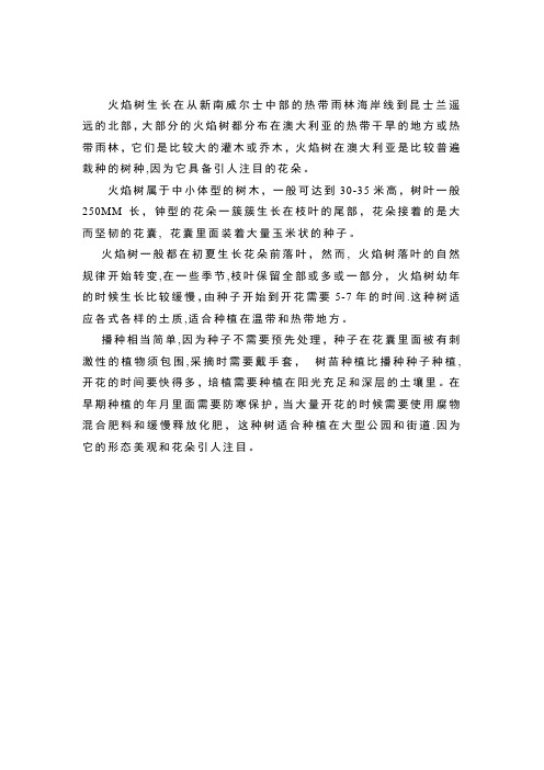火焰树资料