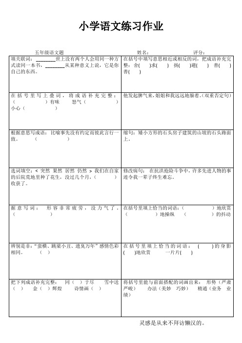 小学五年级语文课堂练习III (90)