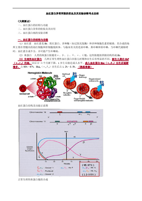 血红蛋白异常所致的贫血及其实验诊断考点总结