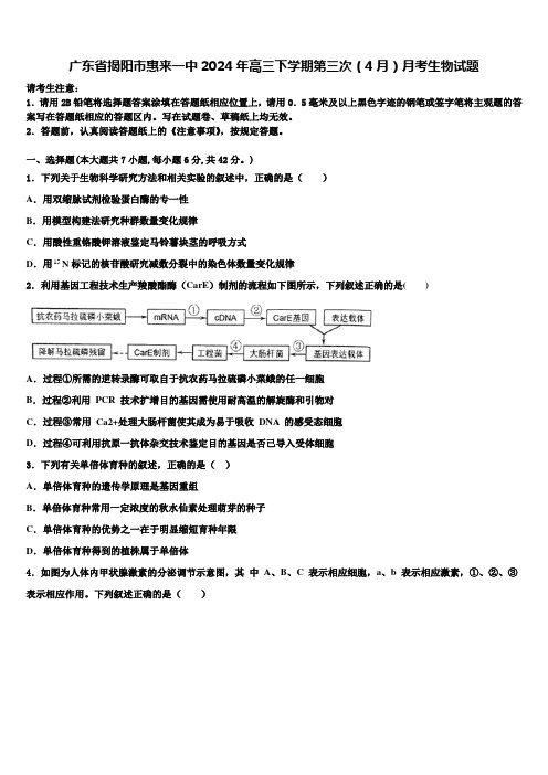 广东省揭阳市惠来一中2024年高三下学期第三次(4月)月考生物试题含解析