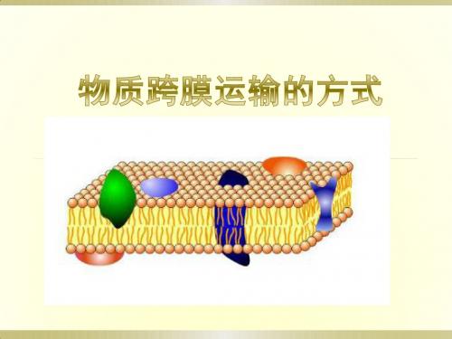 物质跨膜运输的方式