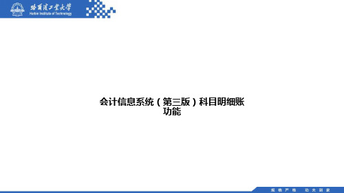 会计信息系统(第三版)科目明细账功能