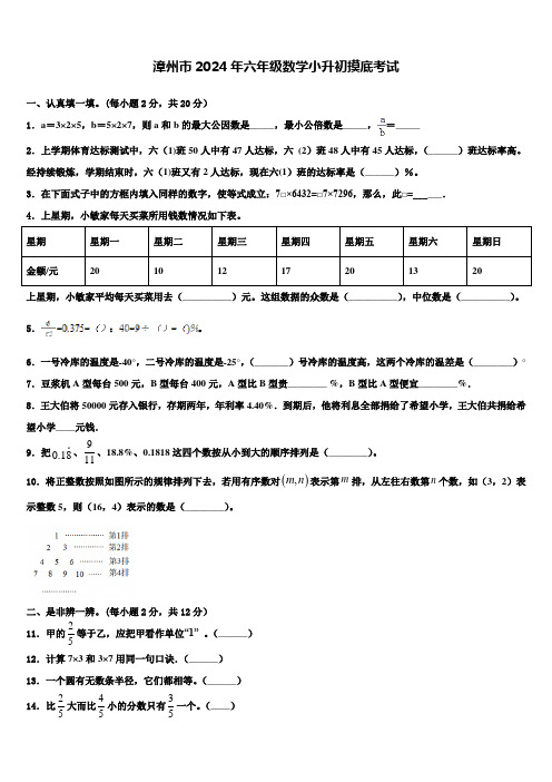 漳州市2024年六年级数学小升初摸底考试含解析