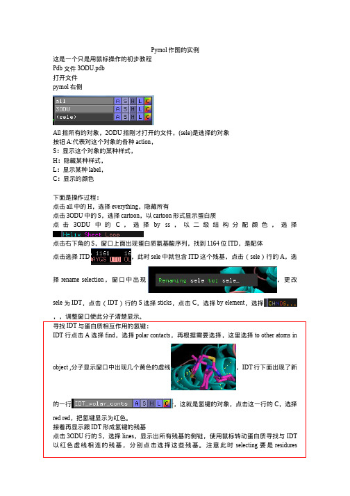 pymol作图的一个实例