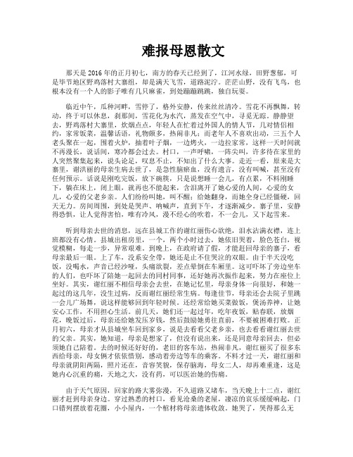 难报母恩散文