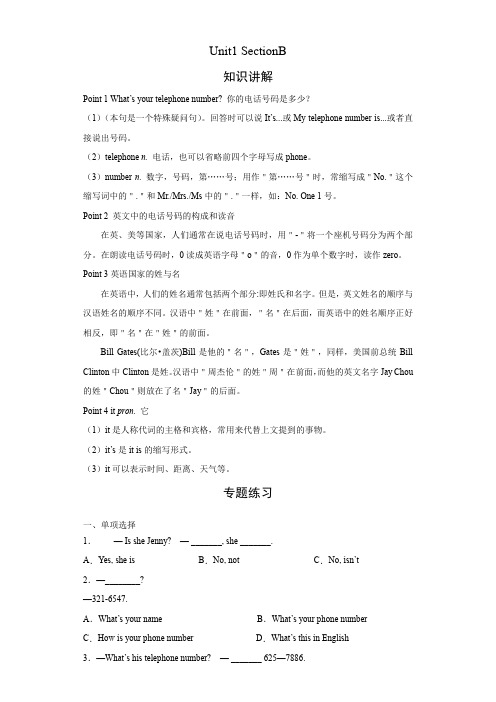 人教版英语七年级上册期末高频考点专题突破Unit1 SectionB