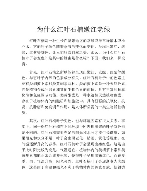 为什么红叶石楠嫩红老绿