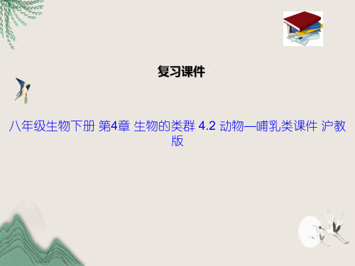 八年级生物下册 第4章 生物的类群 4.2 动物—哺乳类课件 沪教版