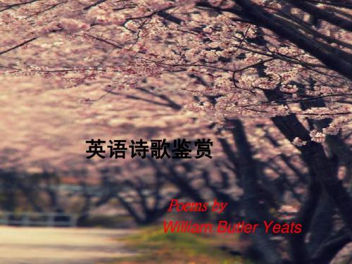 叶芝_当你老了