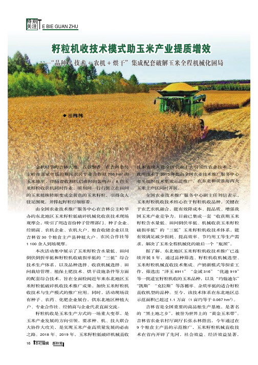 籽粒机收技术模式助玉米产业提质增效--“品种+技术+农机+烘干”集