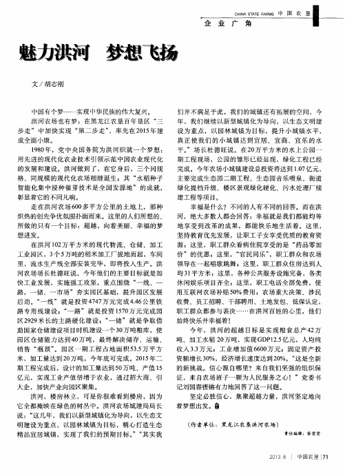 魅力洪河梦想飞扬