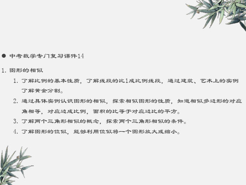 中考数学专门复习课件