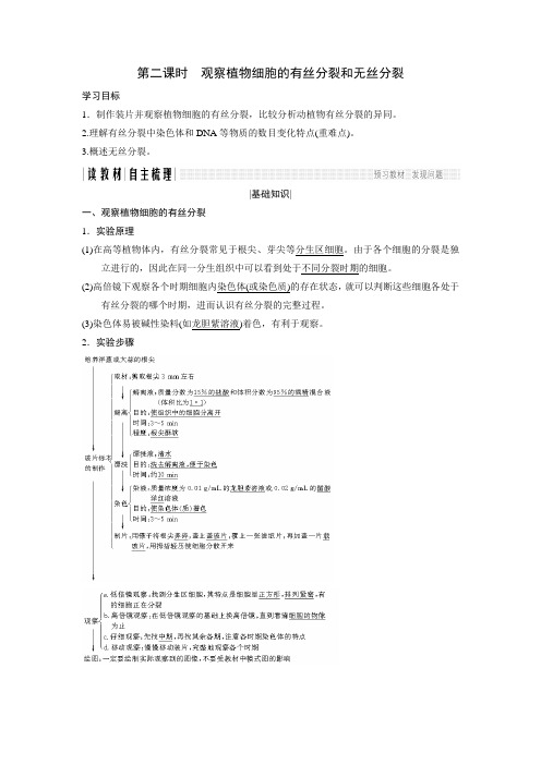 2018版高中生物苏教版必修1学案：5.1.2 观察植物细胞的有丝分裂和无丝分裂