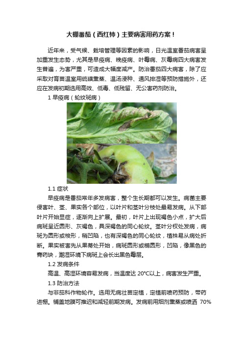 大棚番茄（西红柿）主要病害用药方案！