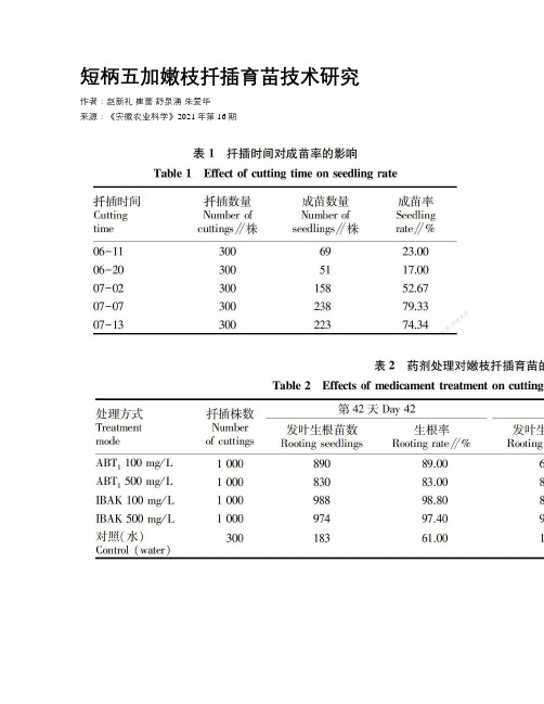 短柄五加嫩枝扦插育苗技术研究