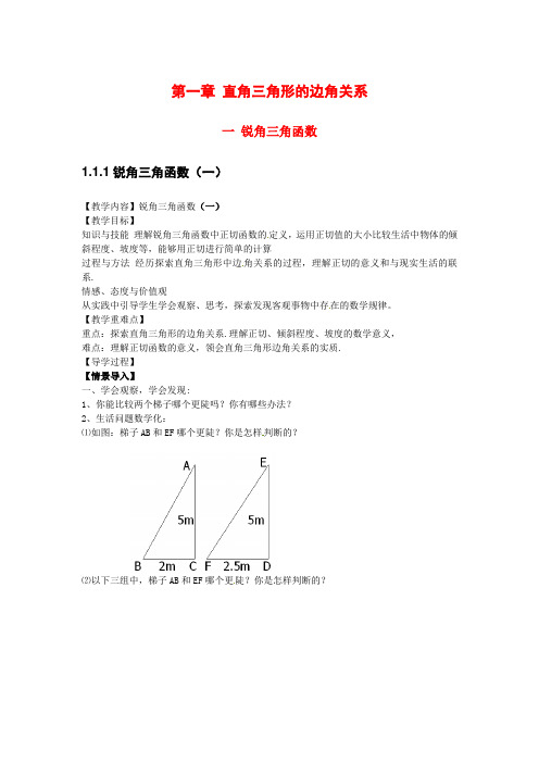 北师大版九年级数学下册 第一章 直角三角形的边角关系 讲义+随堂练习