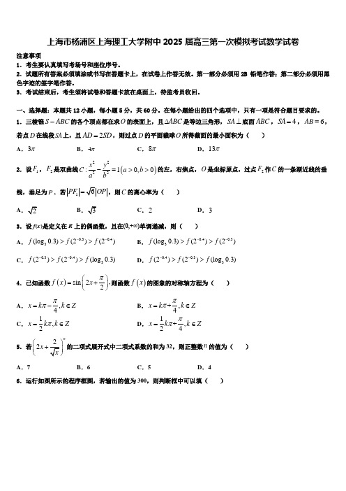 上海市杨浦区上海理工大学附中2025届高三第一次模拟考试数学试卷含解析